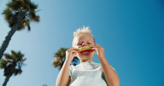 Little young boy enjoying slice of water melon at the sunny summer day in the park. Kid showing snapped slice of fruit at the palm trees and blue sky background