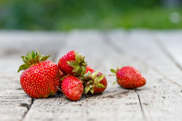 Large sweet ripe garden strawberry lies on wod in garden