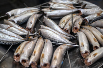Decapitated mackerel carcasses lie on a conveyor belt.