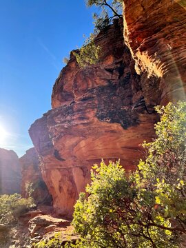 セドナ/Sedona