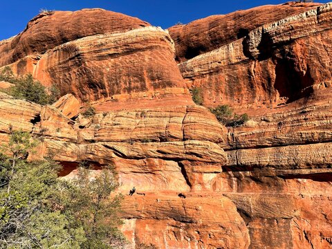 セドナ/Sedona