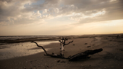 Driftwood Beach Sunset