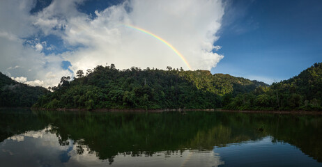 jungle rainbow