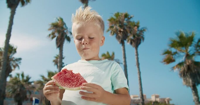 Little young boy enjoying slice of water melon at the sunny summer day in the park. Kid showing snapped slice of fruit at the palm trees and blue sky background
