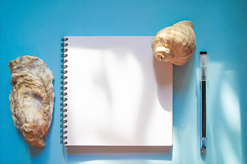 Notepad, pen and seashells on blue background for mockup