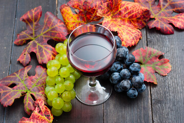 glass of red wine and grapes on black wooden table background