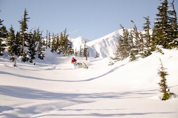 Sledder in Alaska backcountry