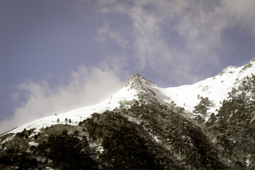 Cordillera Chilena