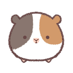 正面モルモット3