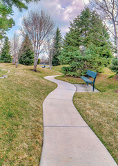 Vertical Scenic park with lush trees pathways and bench on the wide stretch of grass land