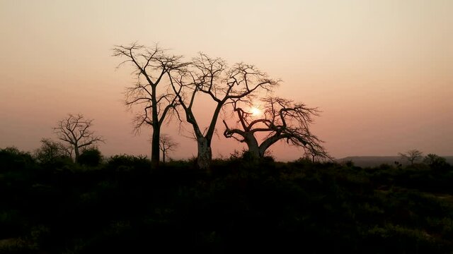 Traveling up, drone 4k ,sunset in Africa, Angola, Africa 10