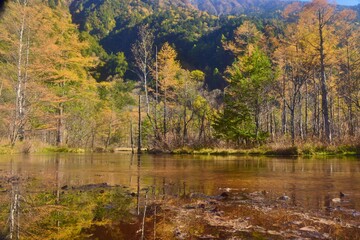 上高地 田代池　秋景色