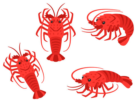 伊勢海老のイラストセット Stock Vector Adobe Stock