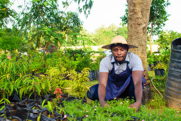 Naklejka na ściany i meble African male gardener, florist or horticulturist wearing an apron and a hat, working while squatting in a green and colorful flowers and plants garden
