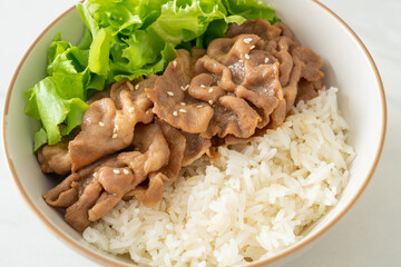 Japanese Pork Donburi Rice Bowl