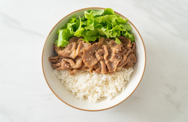 Japanese Pork Donburi Rice Bowl