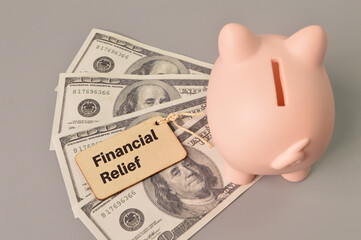Piggy bank, money banknotes and label tag written with FINANCIAL RELIEF.