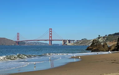 Cercles muraux Plage de Baker, San Francisco Sea gulls on Baker Baech - San Francisco, California
