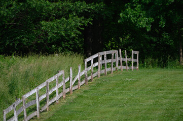 wooden fence and grass