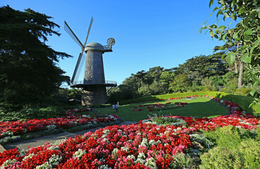Queen Wilhelmina Tulip Garden  - San Francisco, California © jerzy