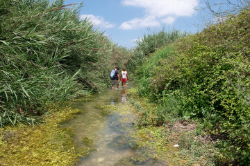 A sporty young couple on a trail inside wadi Taninim in a hot summer day, Israel. Green vegetation growing on the banks of the stream.