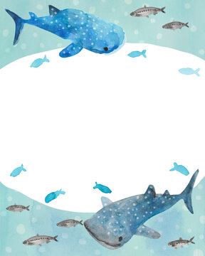341 Best エンゼルフィッシュ Images Stock Photos Vectors Adobe Stock