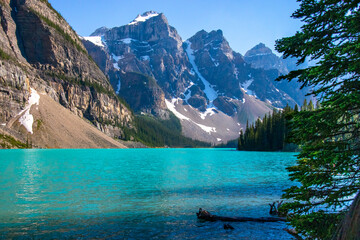 Moraine lake banff