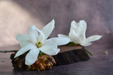 White magnolias lie on a wooden stand.
