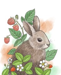 drawing rabbit with leaves and berries, hand drawn illustration