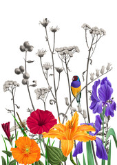 drawing flowers, plants and bird of goldian finch, hand drawn illustration