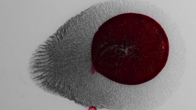 Blood red feeds on shimmering silver and grows  -  an all natural AbstractVideoClip