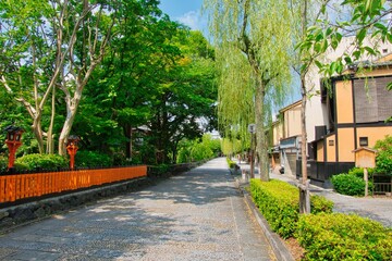 京都白川筋