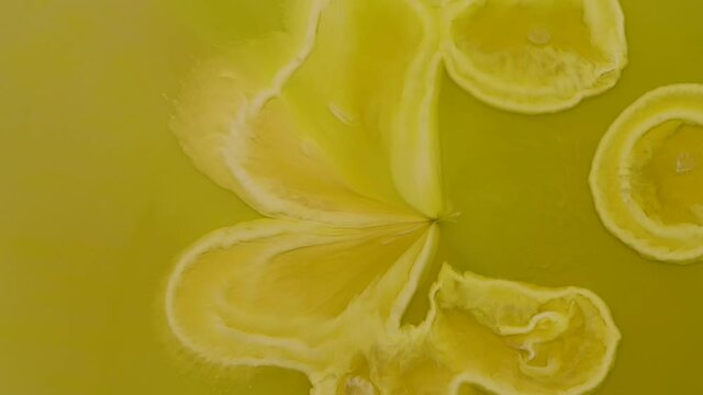 Tasty yellow chiffon, all sweet and lemony, going somewhere, but where? -  an all natural AbstractVideoClip