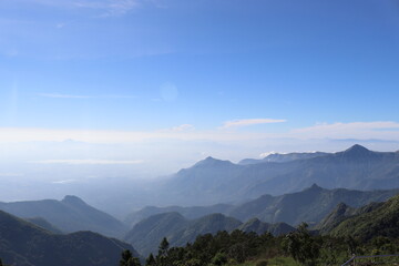 Kodaikkanal Mountain