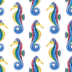 Watercolor illustration of blue seahorse pattern. Seamless sailing marine life print. Ocean dwellers. Isolated on white background. Drawn by hand.