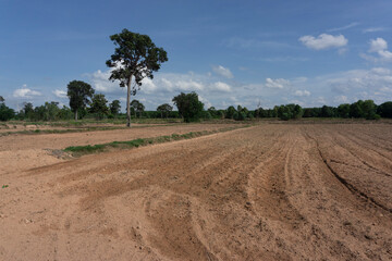 Newly ploughed rice field ready for seeding showing dryness of soil before start of rainy season
