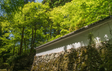 緑の木々と石垣の塀