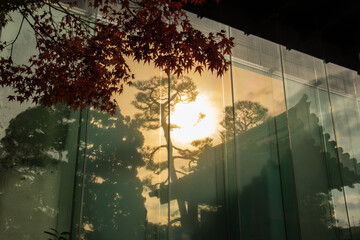 紅葉　壁面ガラスに映る京都の秋