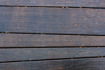 Wood plank texture, close up image of wood texture.