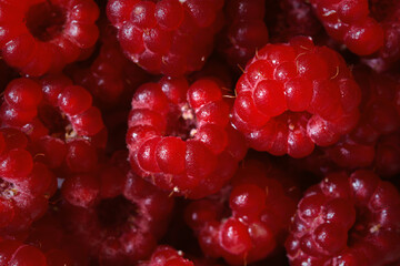 Raspberry macro background. The texture is food. Ripe raspberries in close-up. The concept of summer food, freshness, vitamins. Beautiful berries in a selective focus. Summer dietary healthy dessert.