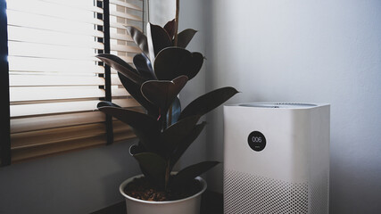 Air purifier and houseplant in living room for fresh air and healthy life.