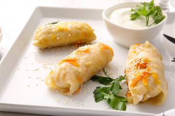 Plate with tasty stuffed cabbage rolls on light background, closeup