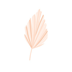 Dry palm leaf on a white background. For the decoration of invitations, flyers, postcards. Vector illustration