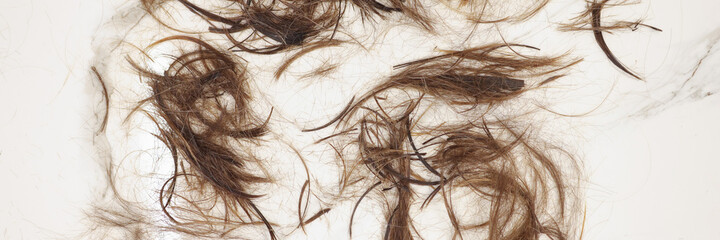 Cut off split ends of hair lie on floor