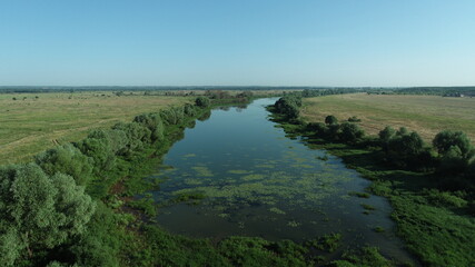 Drying river bed on a sunny summer day