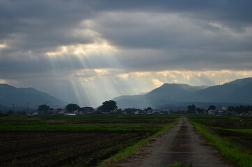 riflection suns of cloud moutain rice farm 
