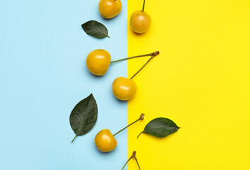 Tasty sweet cherries on color background
