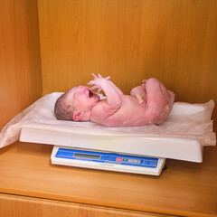 Weighing a newborn baby on a scale in a maternity hospital