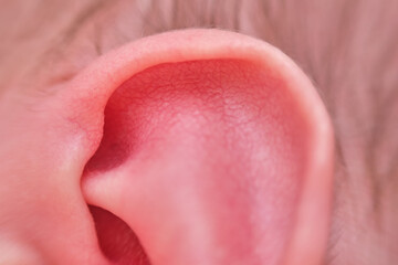 Ear of a newborn baby, close-up. Macro photo of a healthy child ear