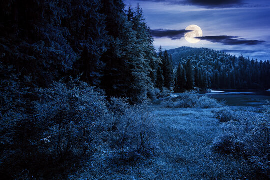 lake of synevyr national park at night. beautiful summer scenery of carpathian mountains in full moon light. popular travel destinations of ukraine. mysterious environment among coniferous forest
